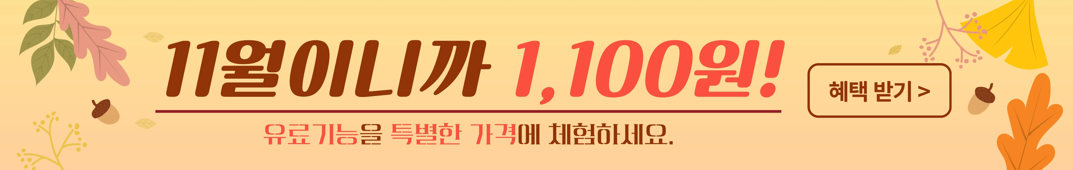 11월 회원 체험 이벤트