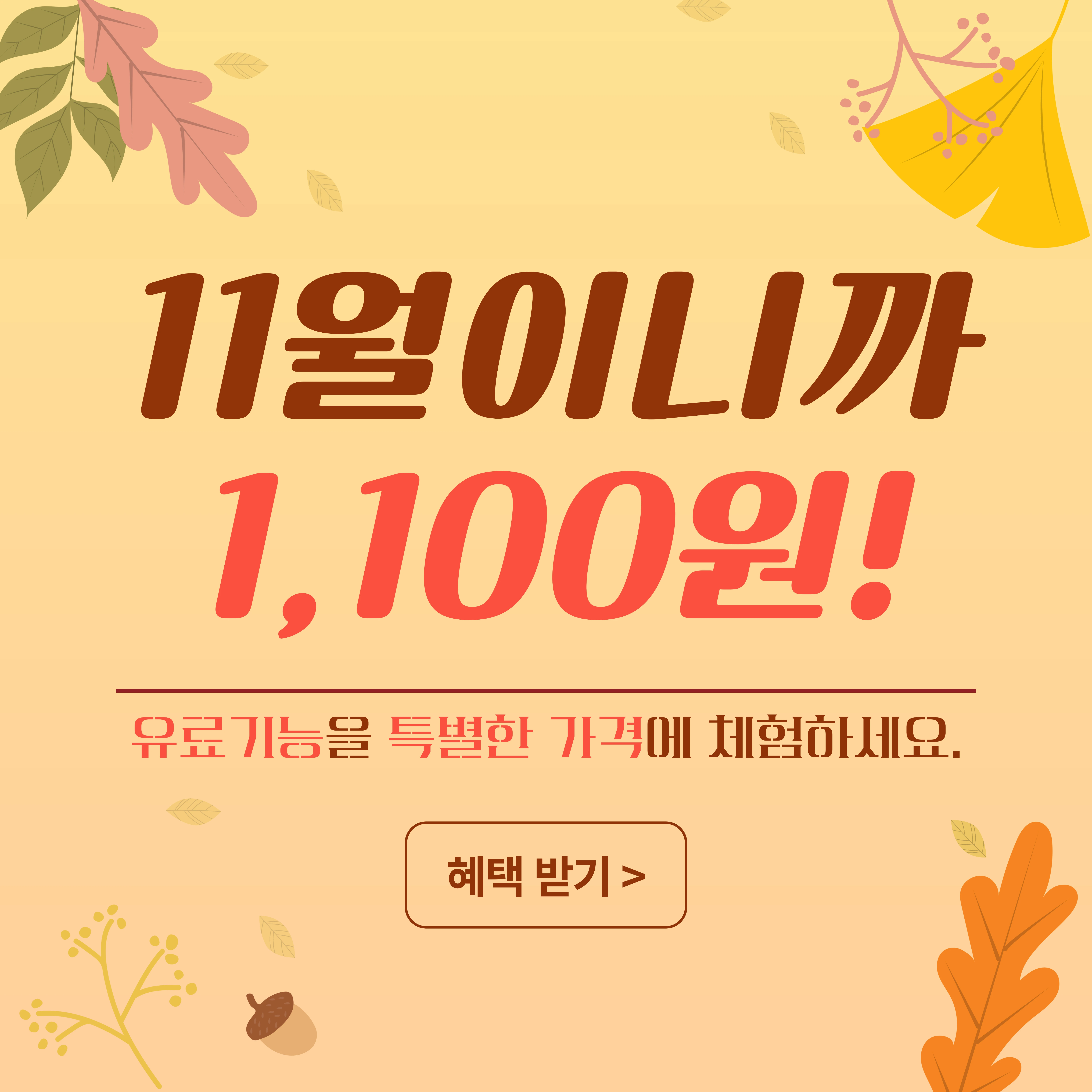 11월 회원 체험 이벤트