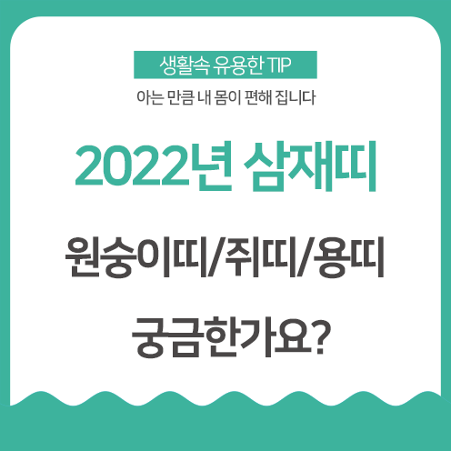 2022년 삼재띠 확인 들삼재, 눌삼재, 날삼재 뜻?