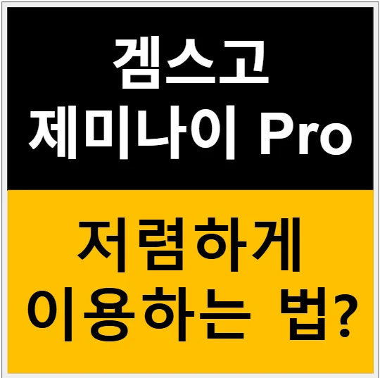Gemini Pro 멤버십을 본인 계정으로 저렴하게 이용하는 방법은? 관련 이미지