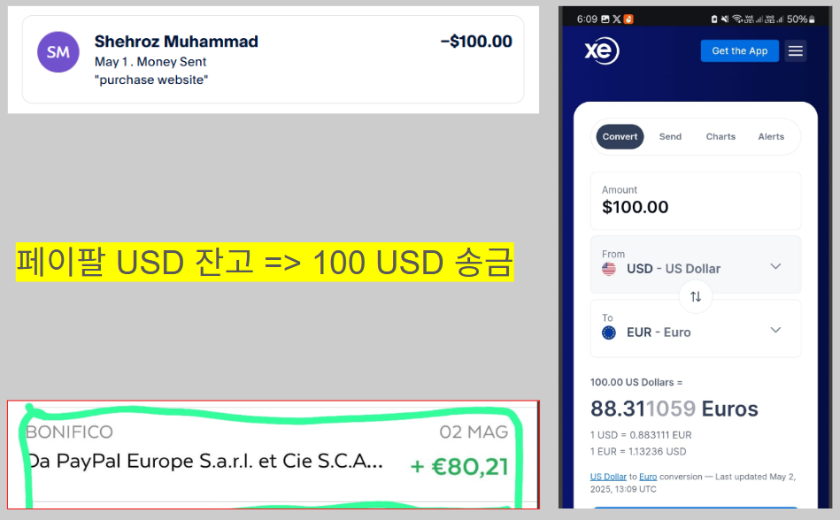 페이팔 해외 송금 수수료 많이 청구된 케이스