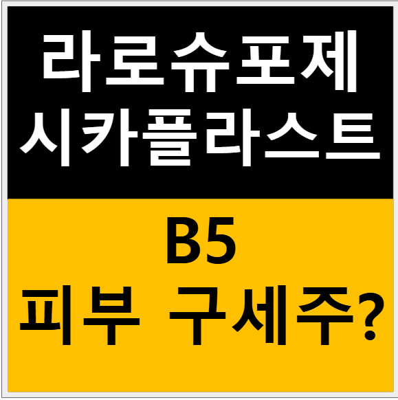 라로슈포제 시카플라스트 밤 B5 사용 후기 - cicaplast baume b5 관련 이미지