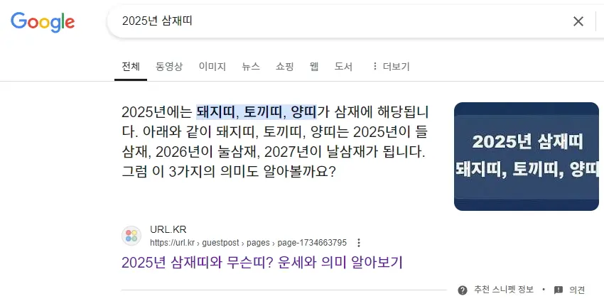 추천 스니펫에 노출된 사례 이미지 1