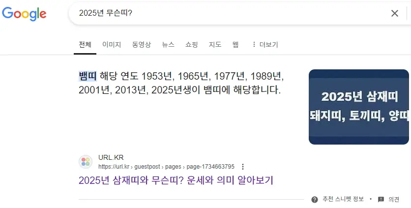 추천 스니펫에 노출된 사례 이미지 3