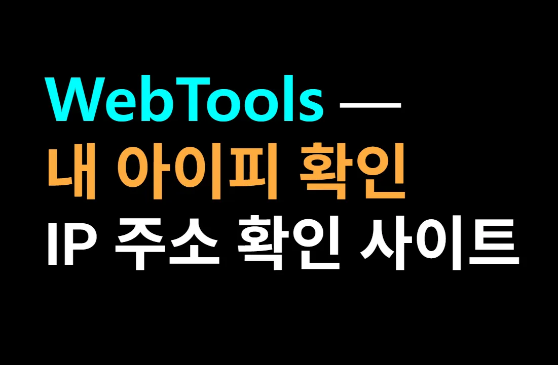 IP 확인 서비스 - 내 아이피 정보 및 위치 조회