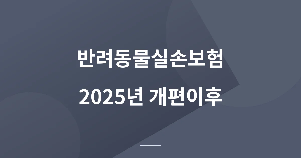 펫보험 가입률 3%대, 2025년 개편 뒤엔 무엇을 비교해야 할까?
